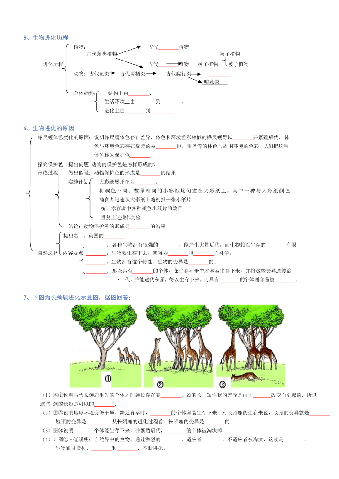 生物——八年级下册中考必背考点分册梳理 第24张