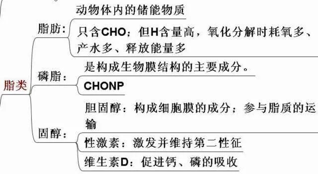 高考生物:高频考点总结,直观又详细! 第4张