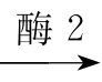 【高考真题】2022年全国乙卷生物试题 第4张