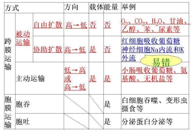 高考生物:高频考点总结,直观又详细! 第11张