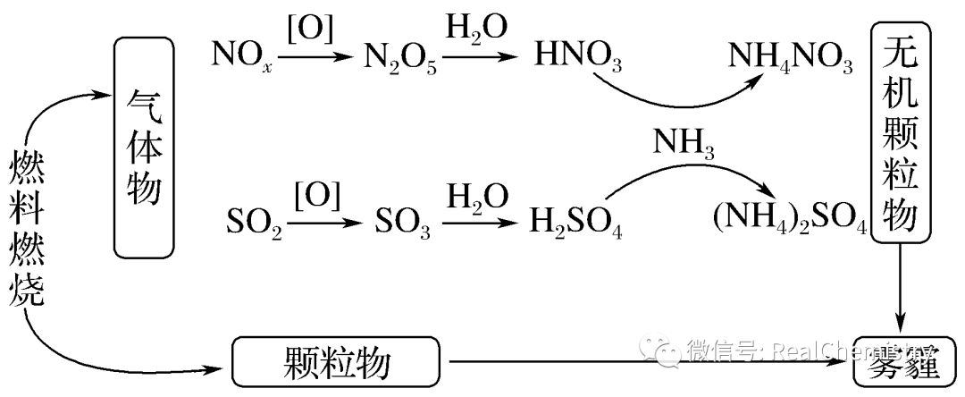 高考化学如何提升选择题解题策略及审题能力 第14张