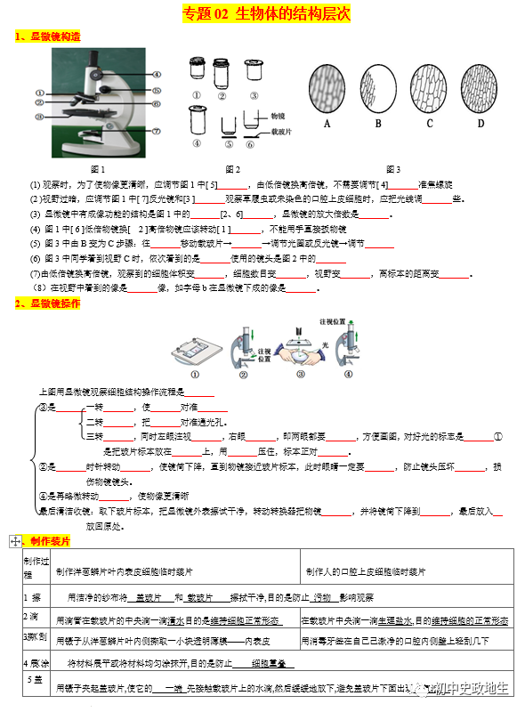 2024中考会考【生物】知识点复习背诵秘笈填空版(全国通用) 第4张