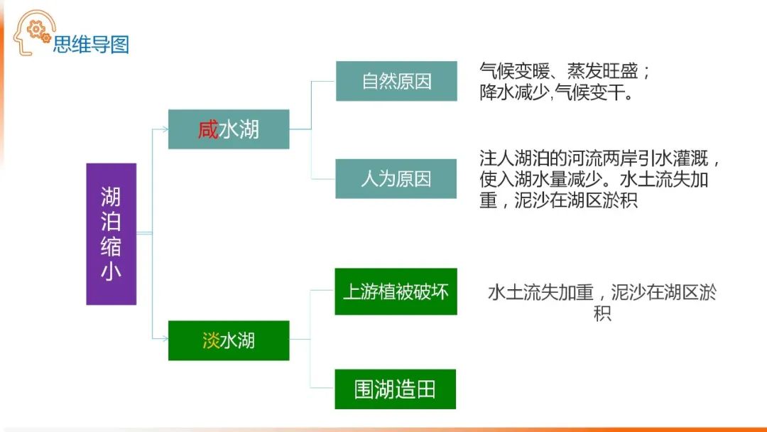 高考备考自然地理小专题思维导图大全 第51张