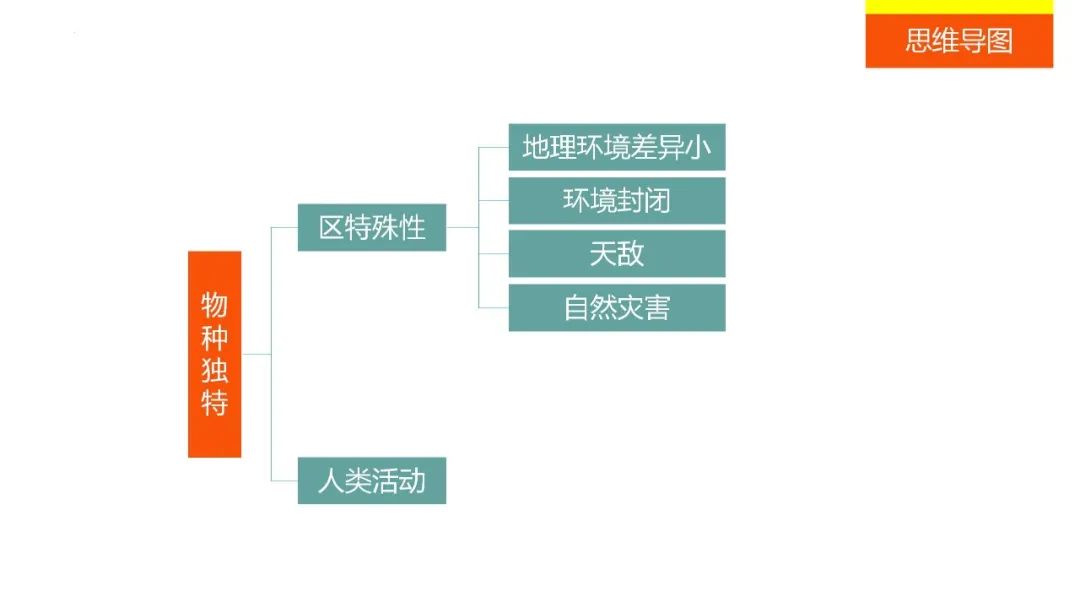 高考备考自然地理小专题思维导图大全 第111张