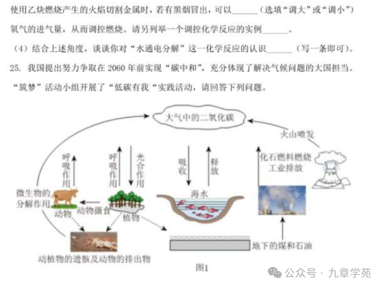 2023年中考青岛化学试题 第11张