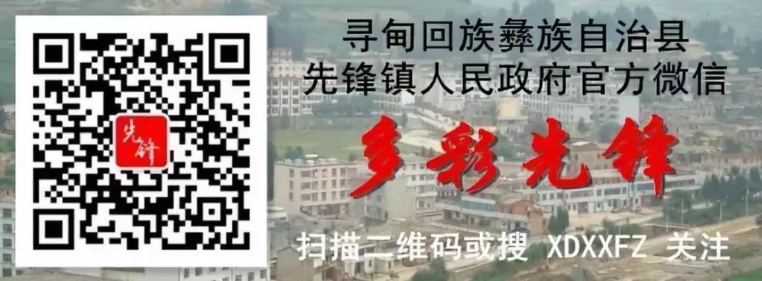 缅怀先烈 誓言青春 奋战中考 ——先锋镇初级中学2021年清明节祭扫活动暨中考誓师大会 第12张