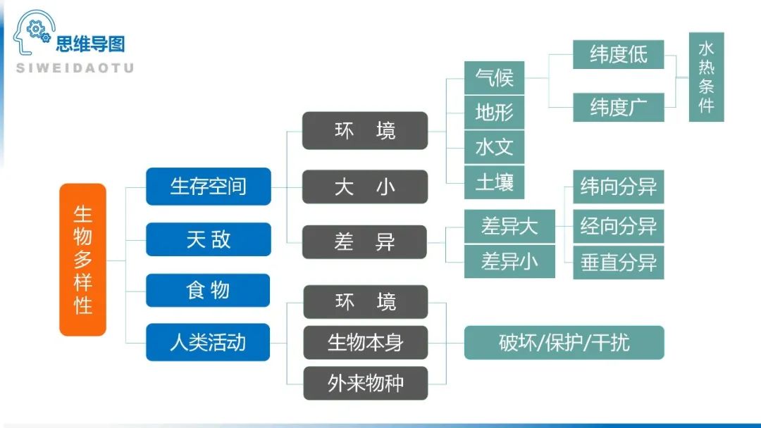 高考备考自然地理小专题思维导图大全 第110张