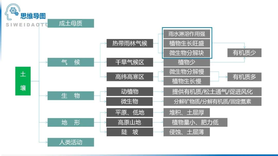 高考备考自然地理小专题思维导图大全 第118张