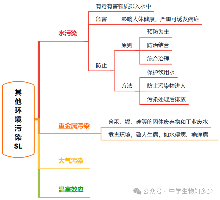 中考备考:人教版中考生物精品讲义4.7.2 探究环境污染对生物的影响 第3张