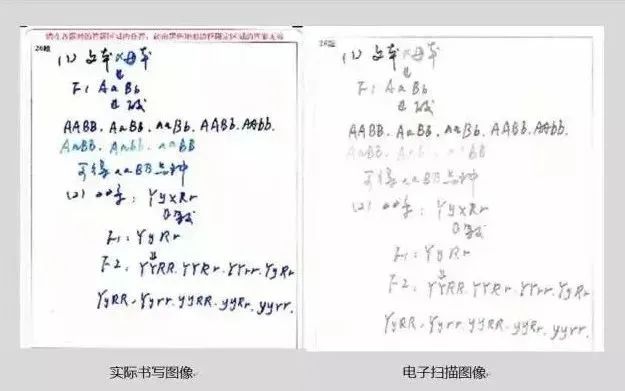 2024高考答题卡公布!答题卡使用规范来了~ 第10张