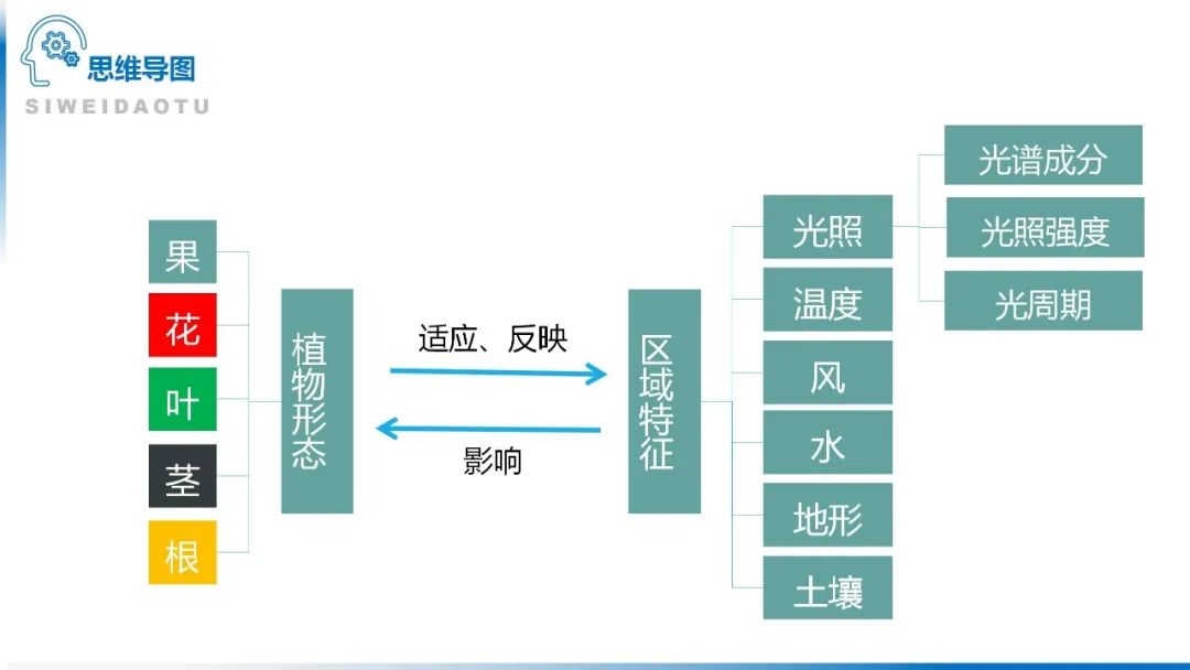 高考备考自然地理小专题思维导图大全 第116张