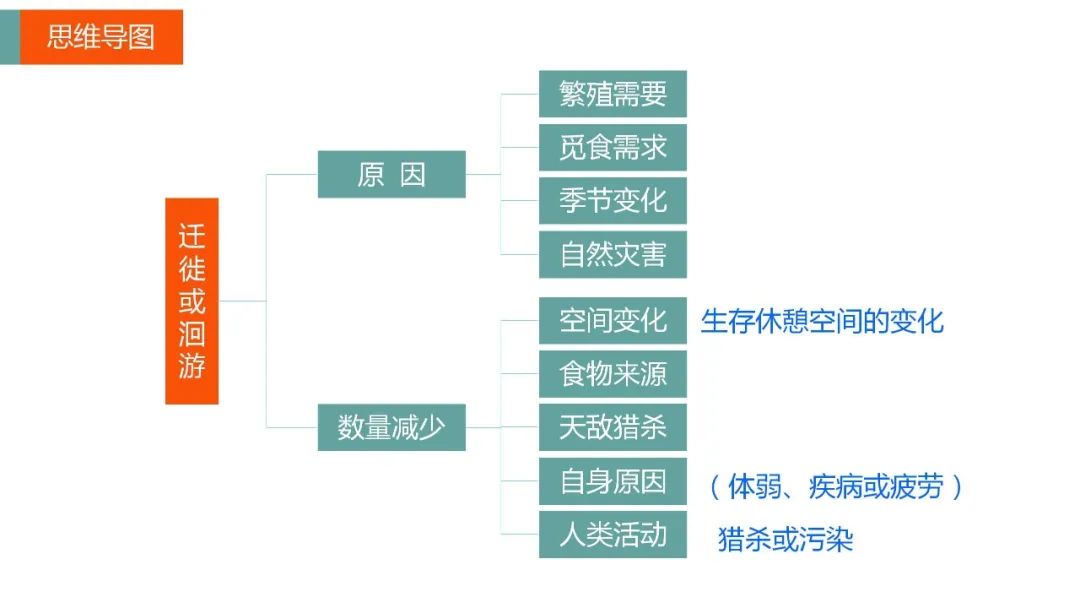 高考备考自然地理小专题思维导图大全 第112张