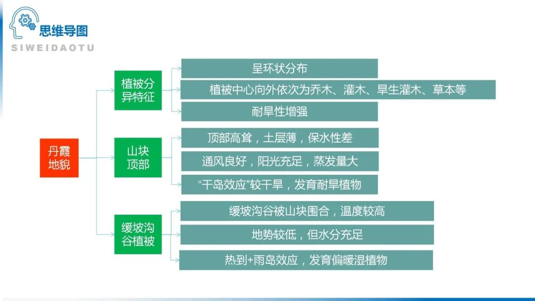 高考备考自然地理小专题思维导图大全 第97张