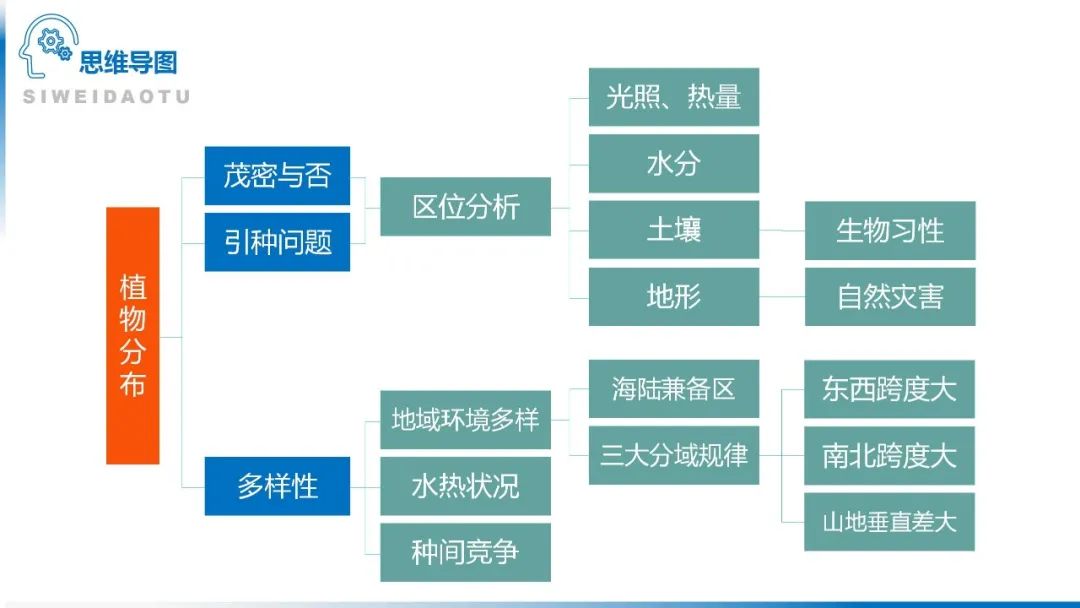 高考备考自然地理小专题思维导图大全 第115张