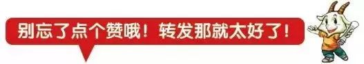 缅怀先烈 誓言青春 奋战中考 ——先锋镇初级中学2021年清明节祭扫活动暨中考誓师大会 第13张