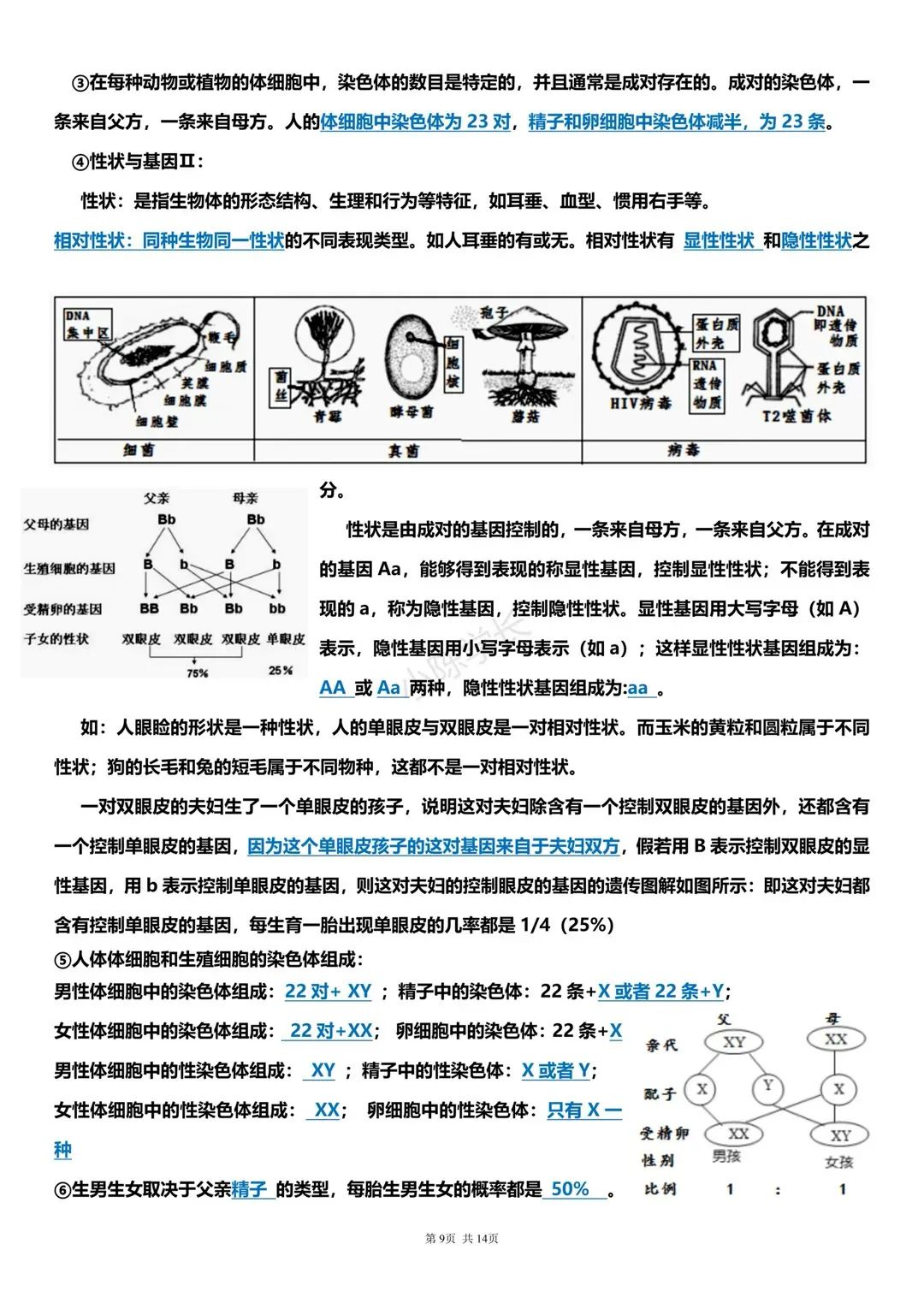 中考生物复习提纲 第9张