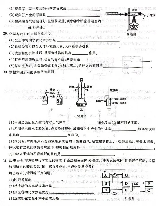 2023.3石家庄长安区中考模拟数学语文理综文综卷含答案 第37张