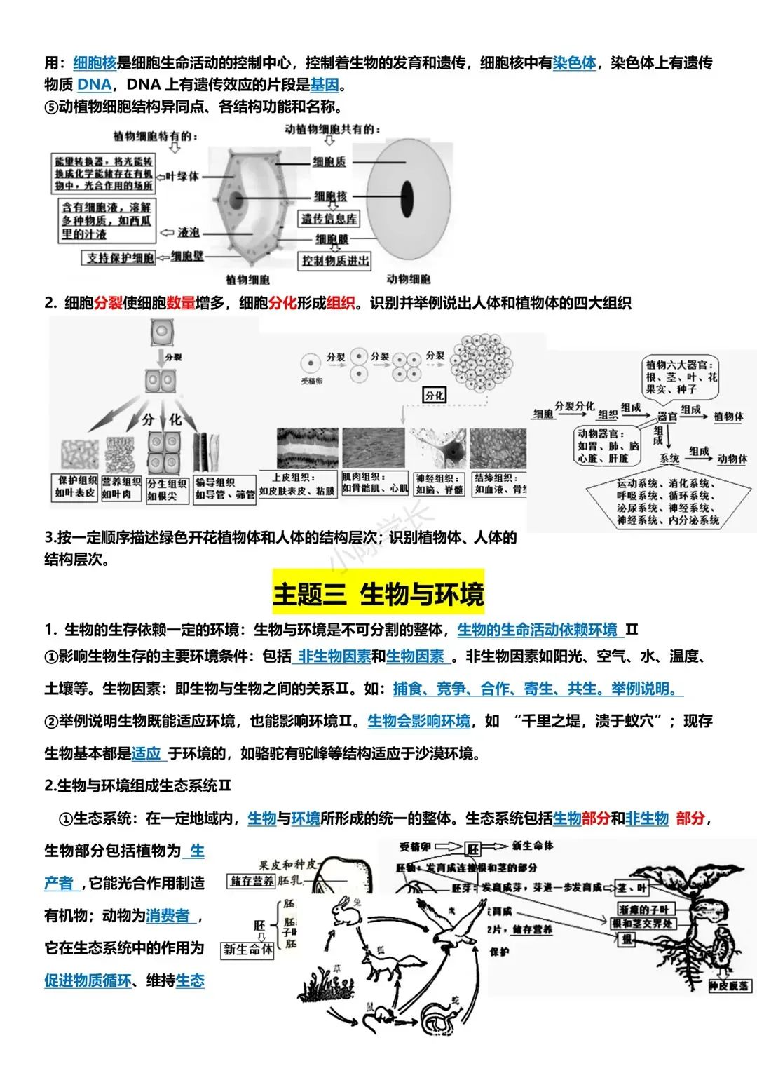 中考生物复习提纲 第2张