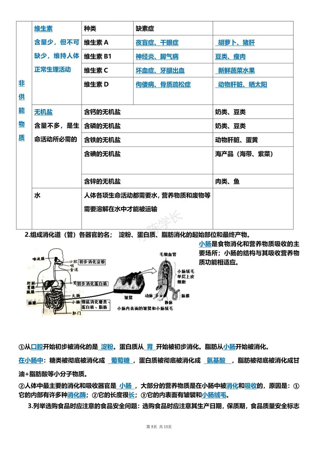 中考生物复习提纲 第5张