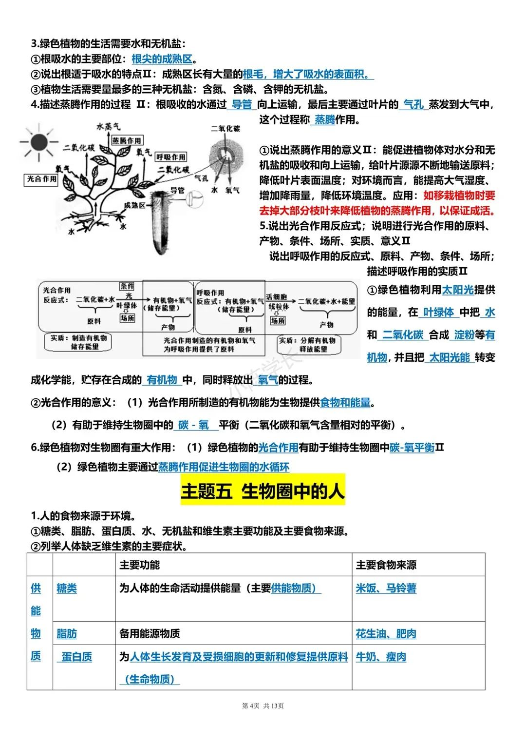 中考生物复习提纲 第4张