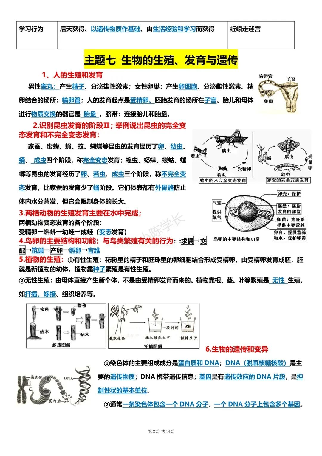 中考生物复习提纲 第8张