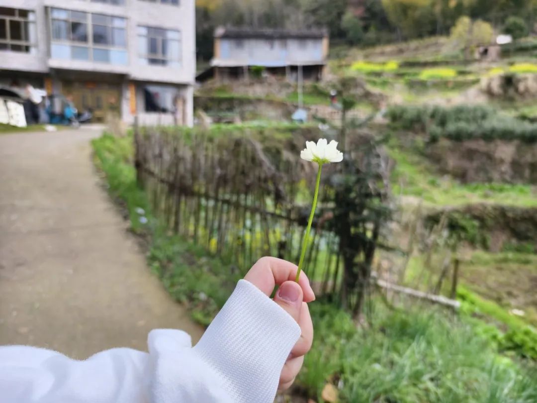 【岭上四JING·心净】减压赋能,笑迎中考——仙居县安岭乡中心学校开展中考冲刺心理减压系列活动 第19张