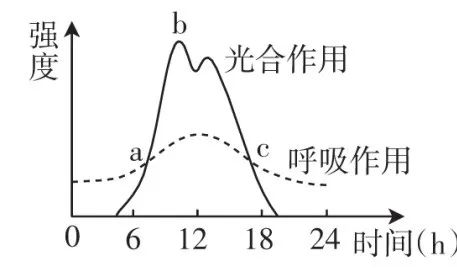 【初中】生物中考曲线类试题29例(含答案) 第1张