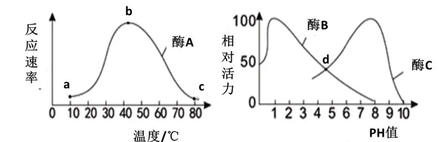 【初中】生物中考曲线类试题29例(含答案) 第12张