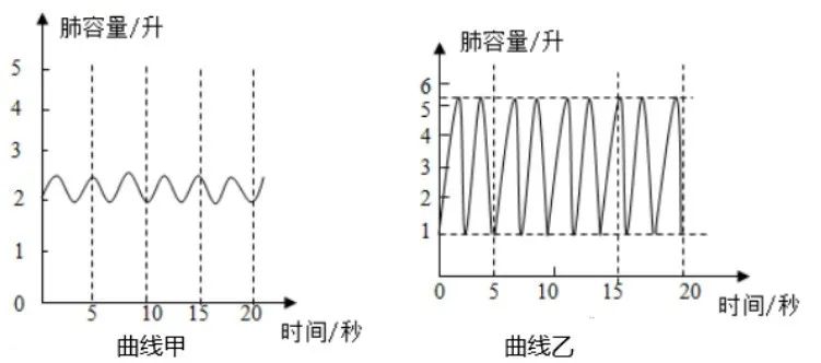 【初中】生物中考曲线类试题29例(含答案) 第10张