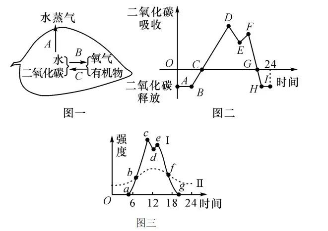 【初中】生物中考曲线类试题29例(含答案) 第23张