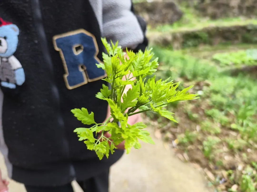 【岭上四JING·心净】减压赋能,笑迎中考——仙居县安岭乡中心学校开展中考冲刺心理减压系列活动 第15张