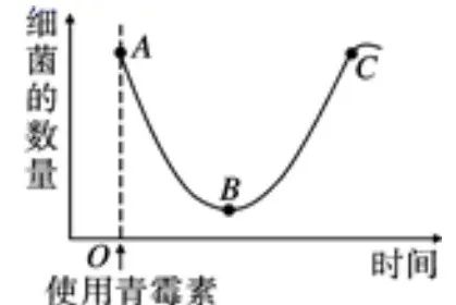 【初中】生物中考曲线类试题29例(含答案) 第19张