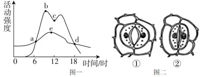 【初中】生物中考曲线类试题29例(含答案) 第3张