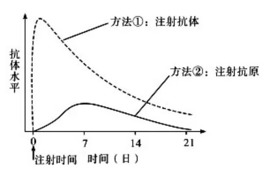 【初中】生物中考曲线类试题29例(含答案) 第21张