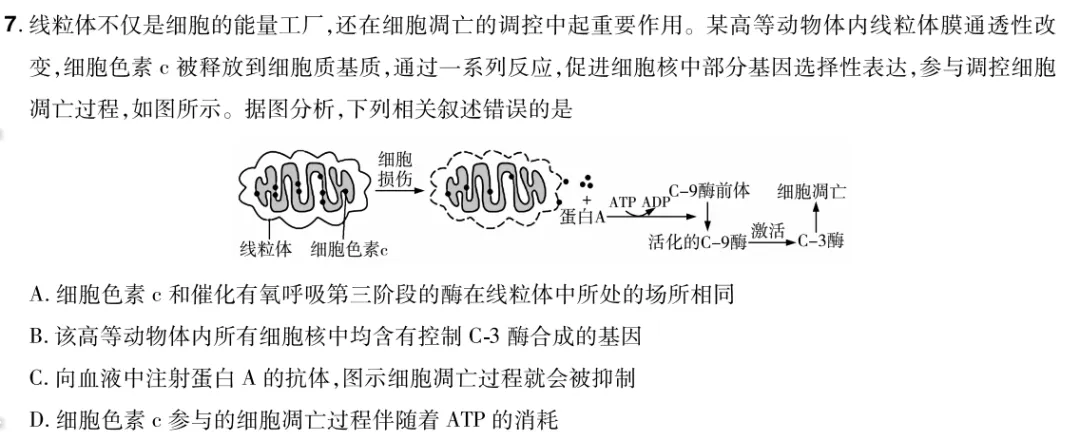 【每日一题】高考倒计时70天 第3张