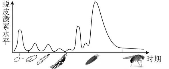 【初中】生物中考曲线类试题29例(含答案) 第6张