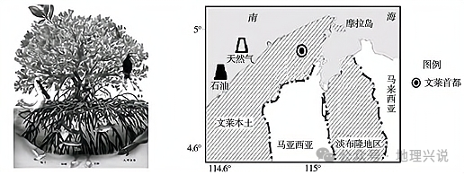 高考地理小专题——经济多元化 第9张