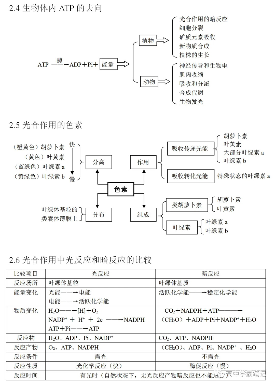 高考生物知识点总结(全) 第13张