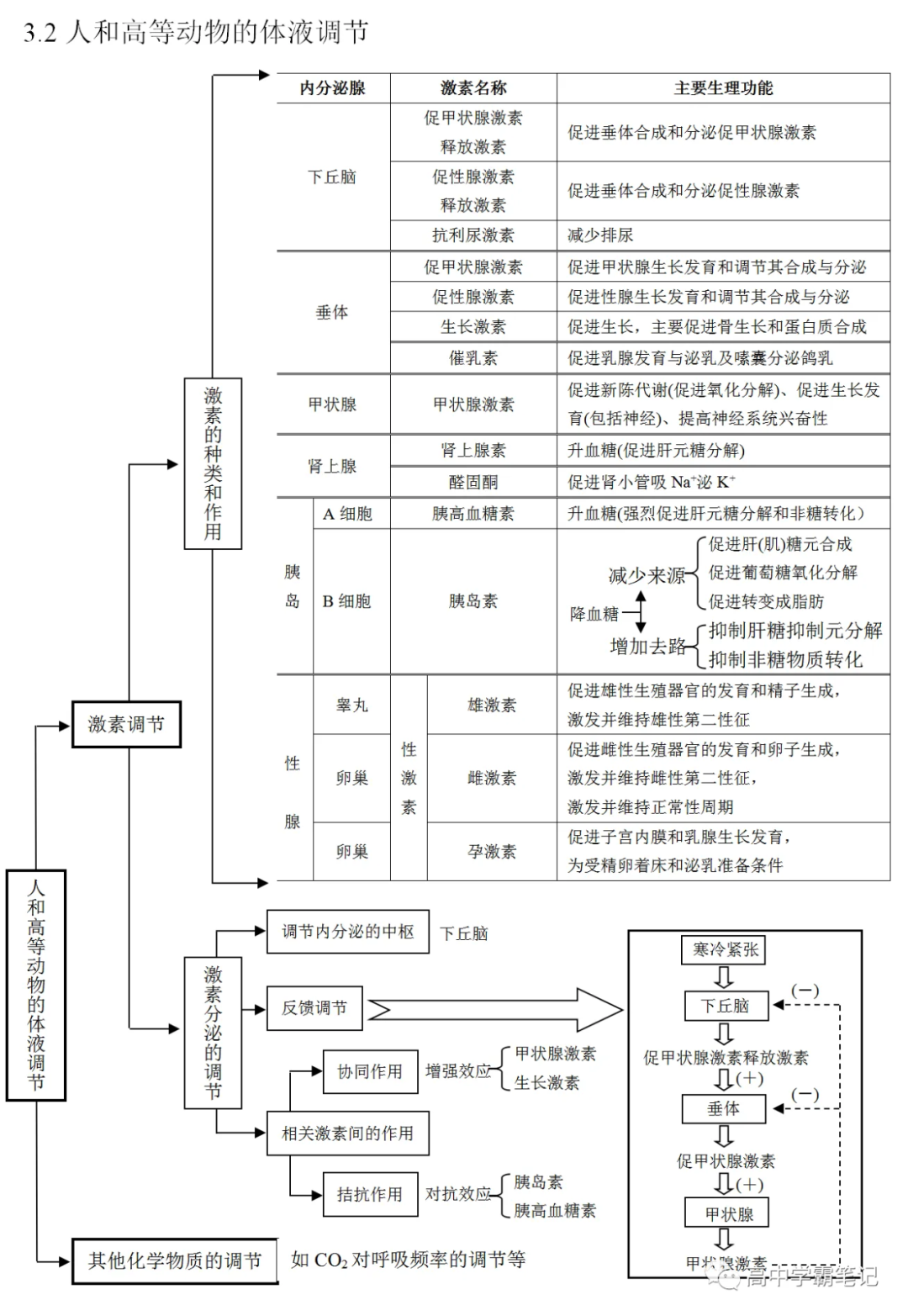 高考生物知识点总结(全) 第28张