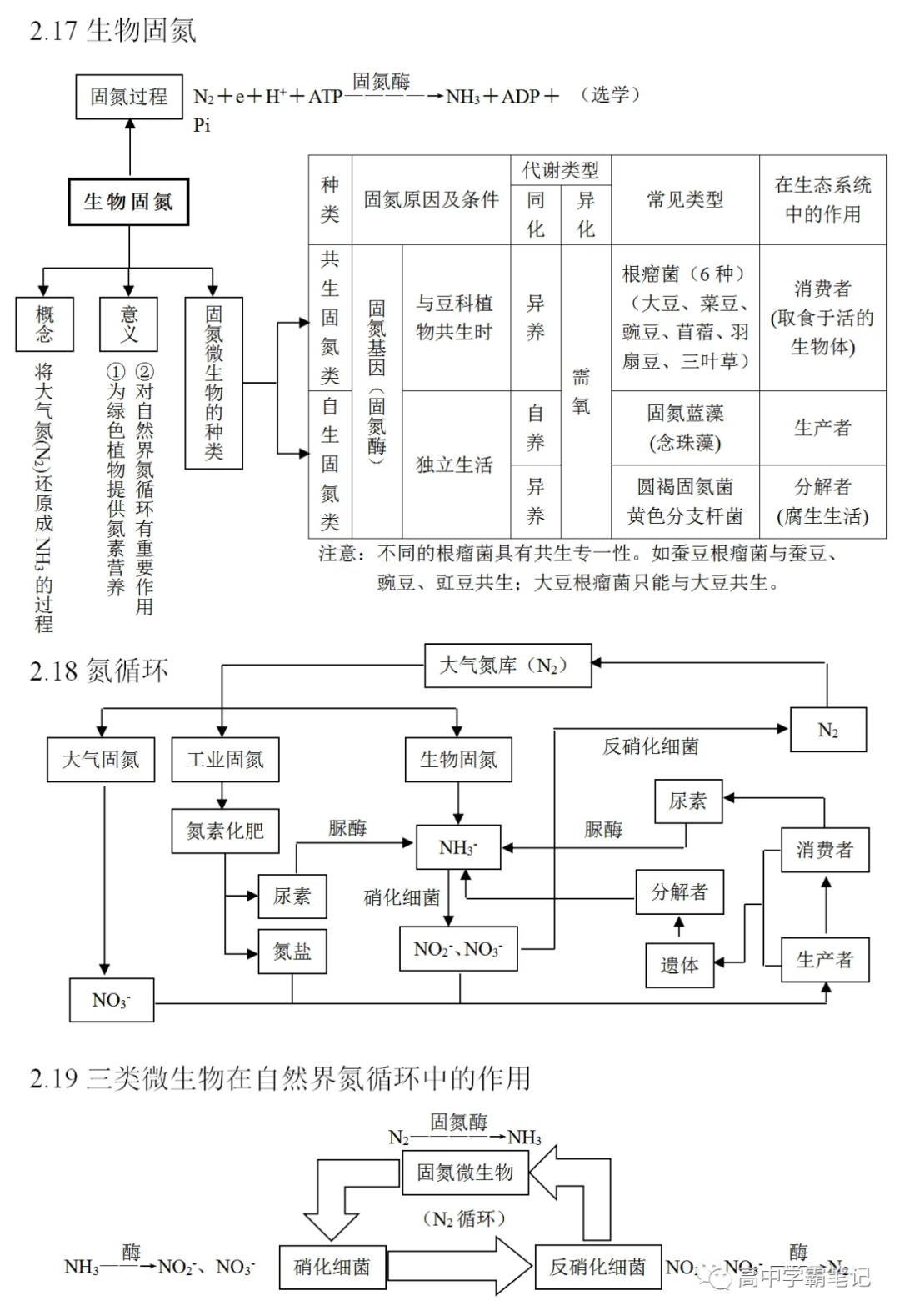 高考生物知识点总结(全) 第19张