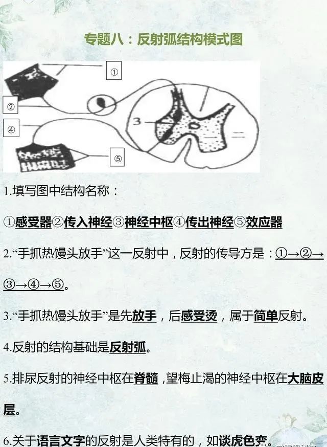 中考生物专题复习:识图作答专项练习,打印吃透,考试不丢分! 第14张