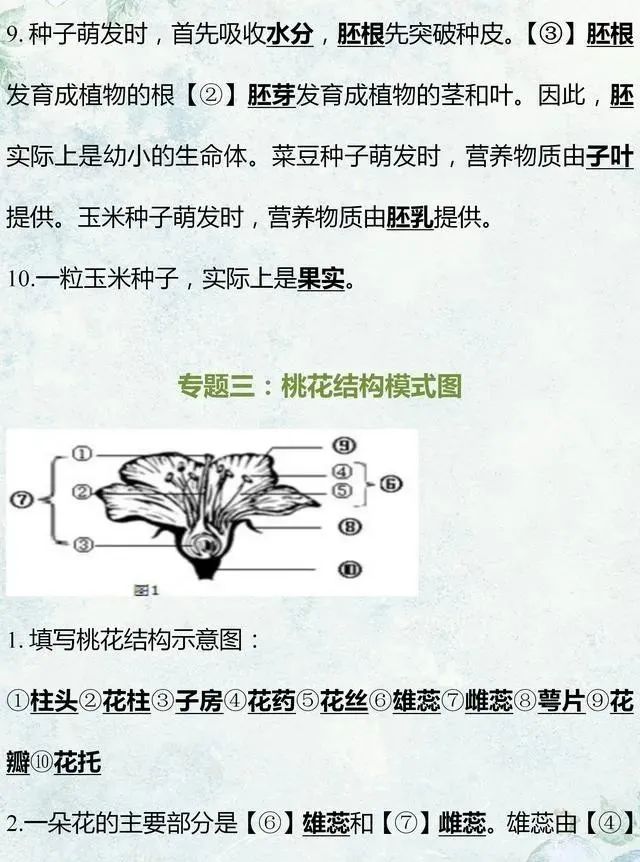 中考生物专题复习:识图作答专项练习,打印吃透,考试不丢分! 第4张