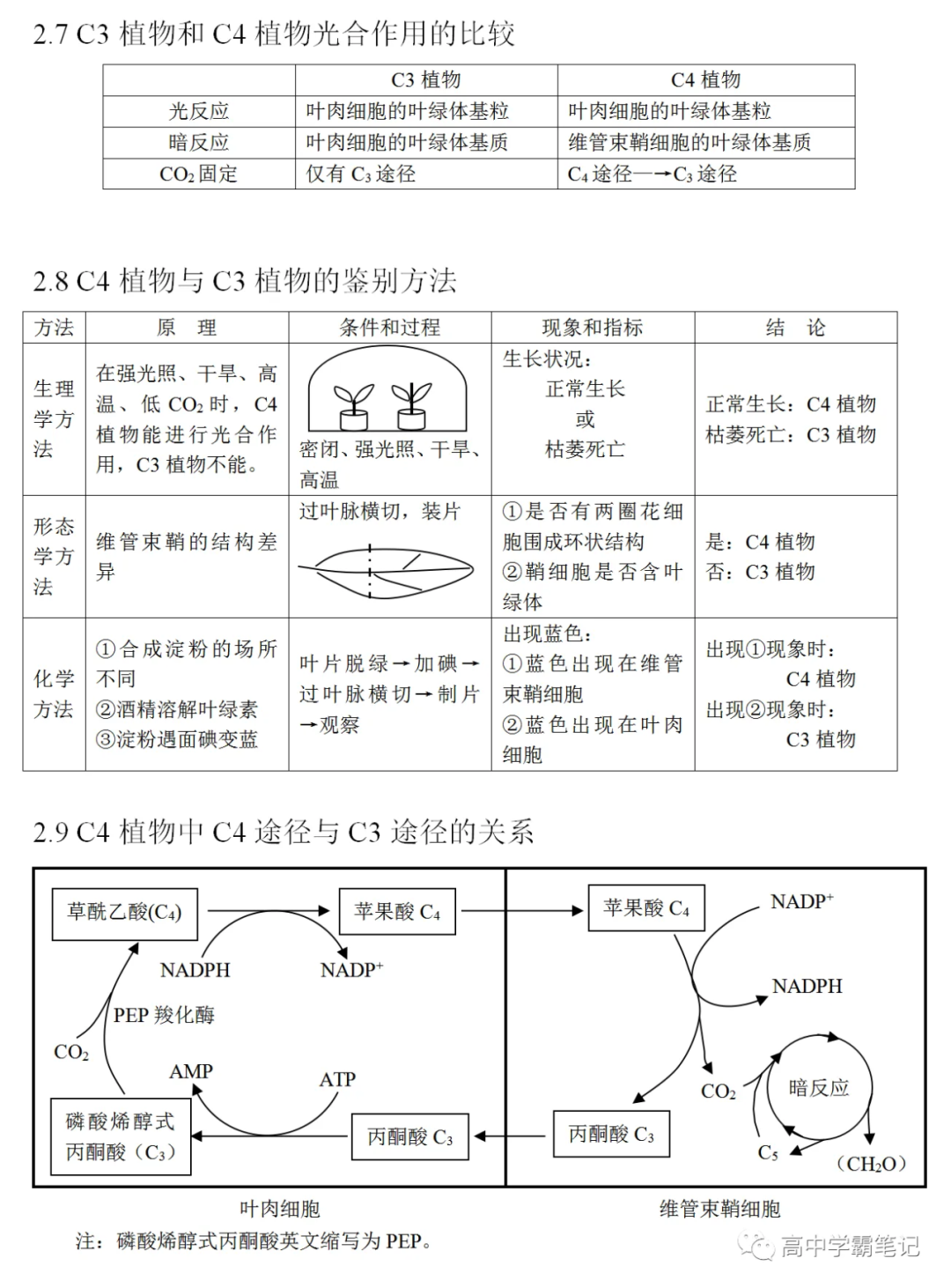 高考生物知识点总结(全) 第14张