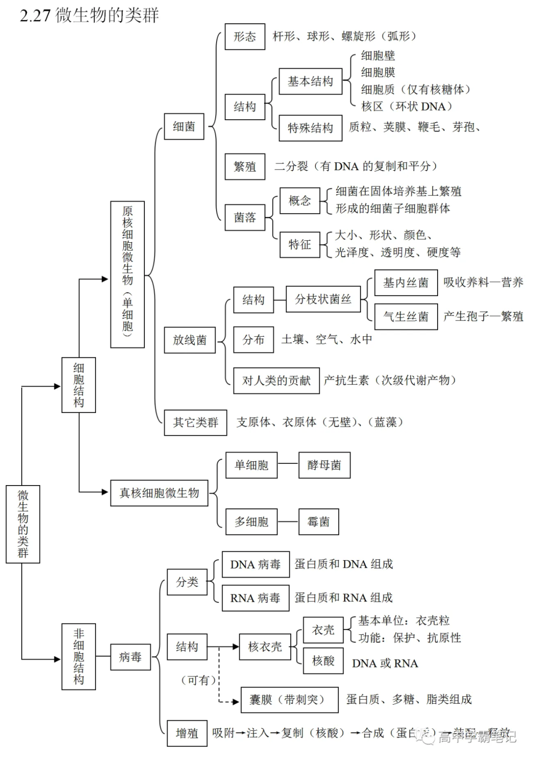 高考生物知识点总结(全) 第23张