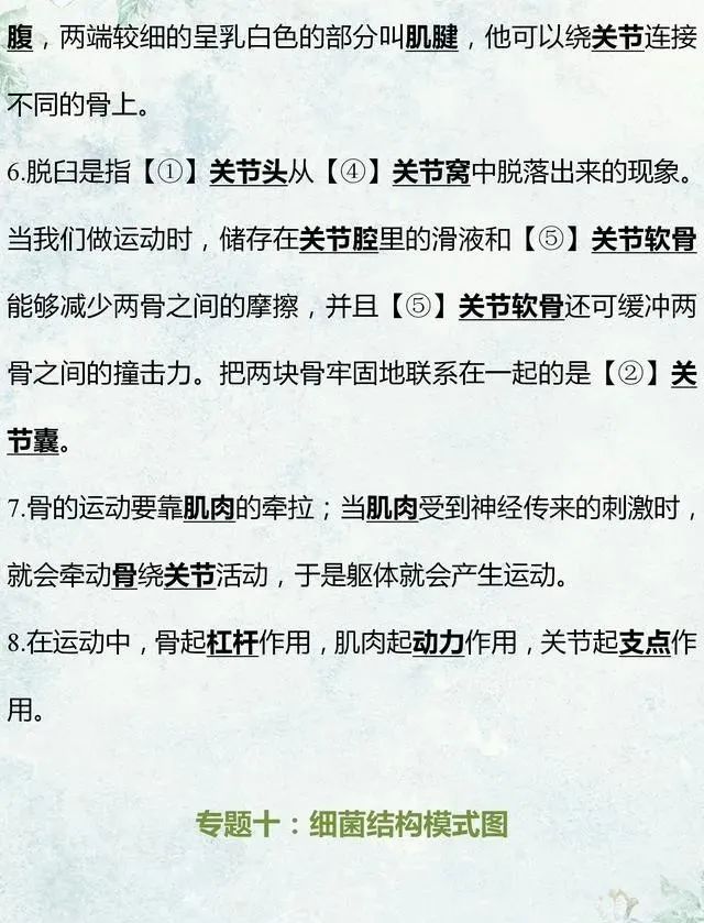 中考生物专题复习:识图作答专项练习,打印吃透,考试不丢分! 第16张