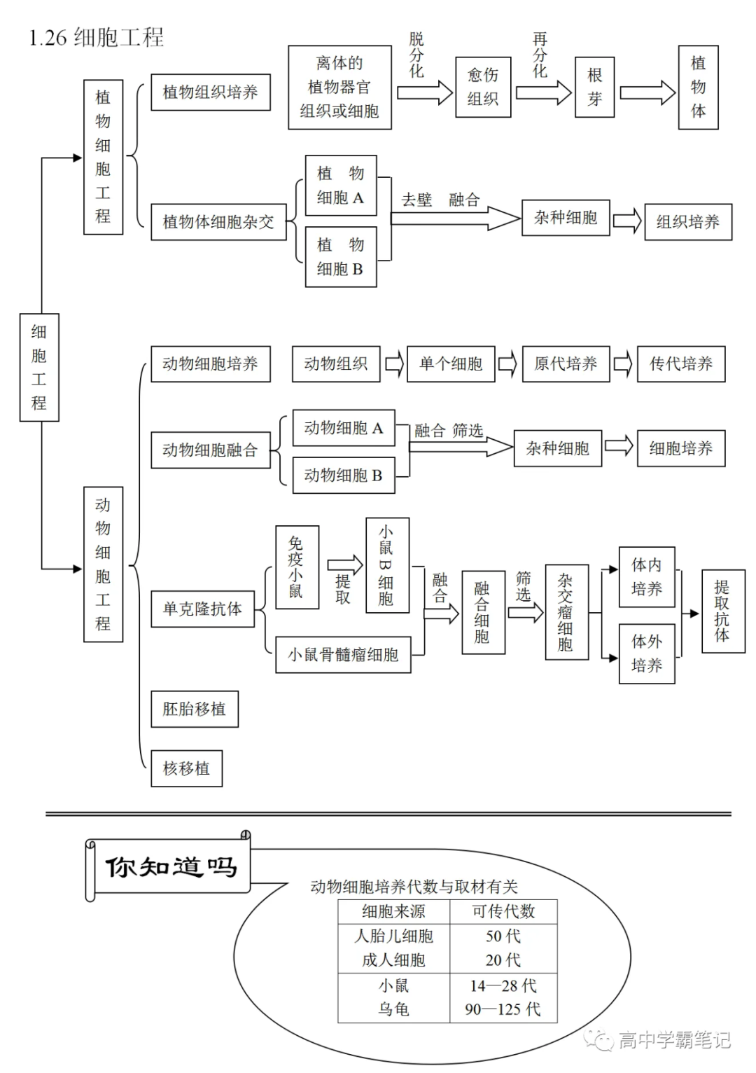 高考生物知识点总结(全) 第10张