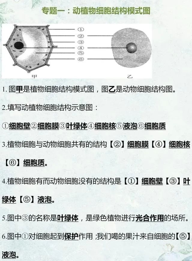 中考生物专题复习:识图作答专项练习,打印吃透,考试不丢分! 第1张