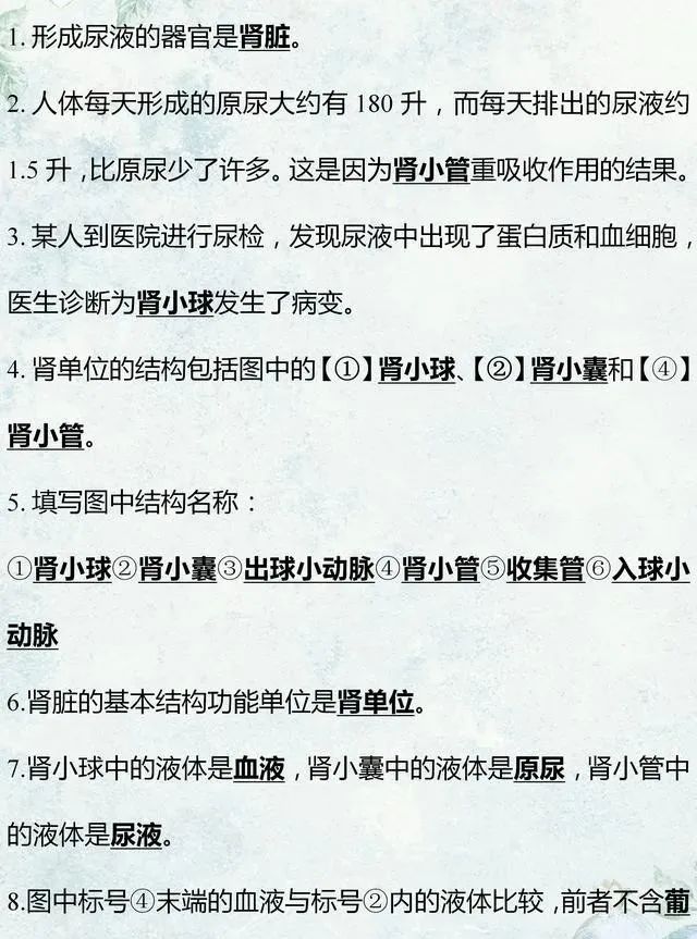 中考生物专题复习:识图作答专项练习,打印吃透,考试不丢分! 第12张