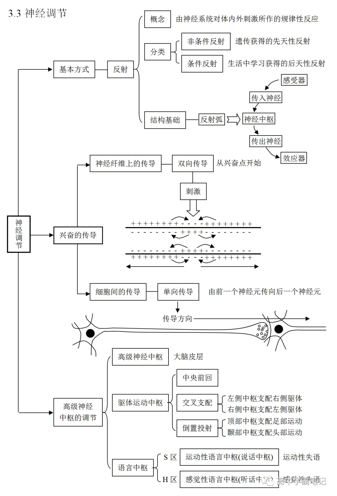 高考生物知识点总结(全) 第29张