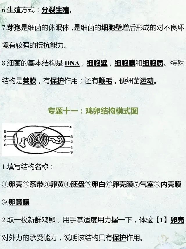 中考生物专题复习:识图作答专项练习,打印吃透,考试不丢分! 第18张